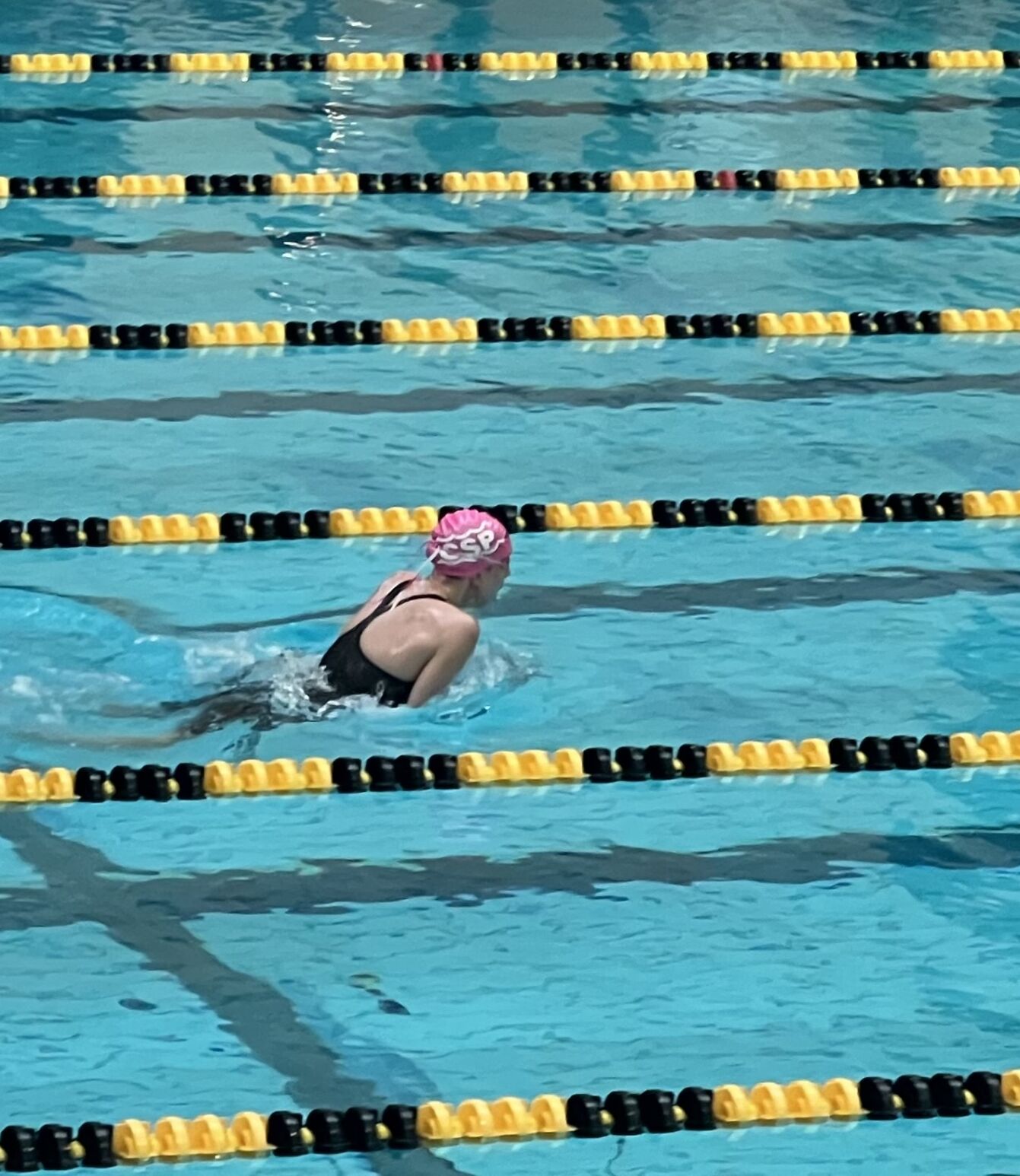 Schoeck in the water